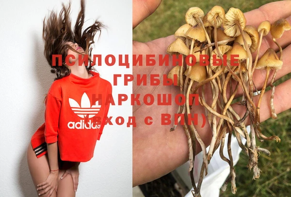 индика Аркадак