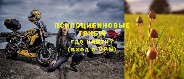 крисы Белоозёрский