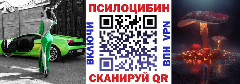 Псилоцибиновые грибы MAGIC MUSHROOMS  где купить наркоту  Гулькевичи 
