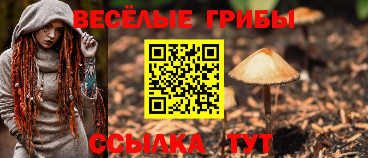 Галлюциногенные грибы MAGIC MUSHROOMS Гулькевичи